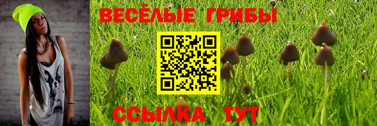 Галлюциногенные грибы мухоморы  Вход с VPN  Галлюциногенные грибы Magic Shrooms  Амурск 